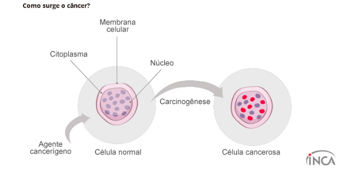 Como surge o Câncer?